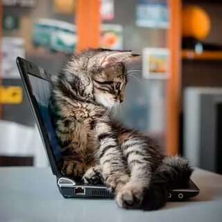 Посмотри работает