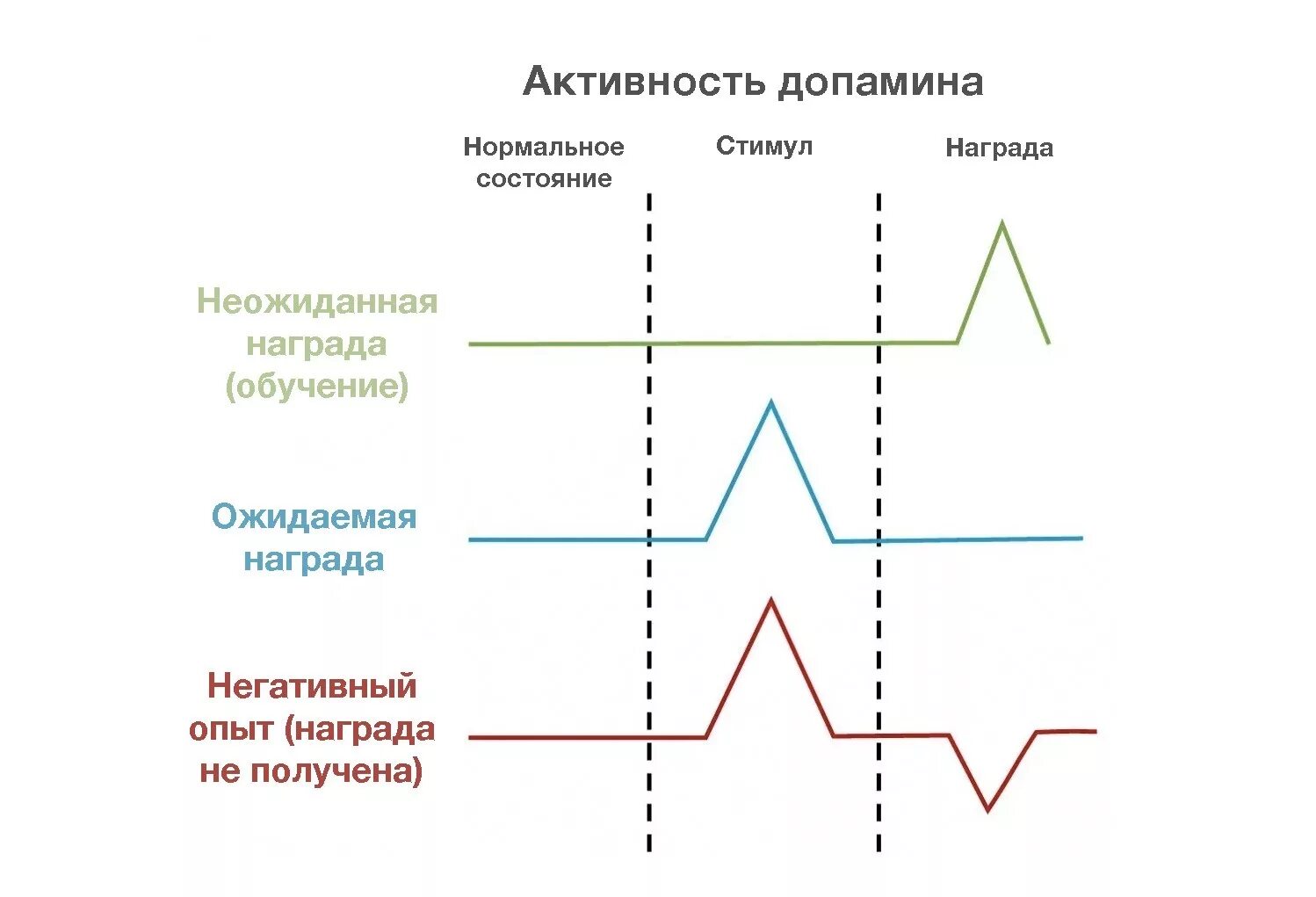 Как выбраться из дофаминовой ямы