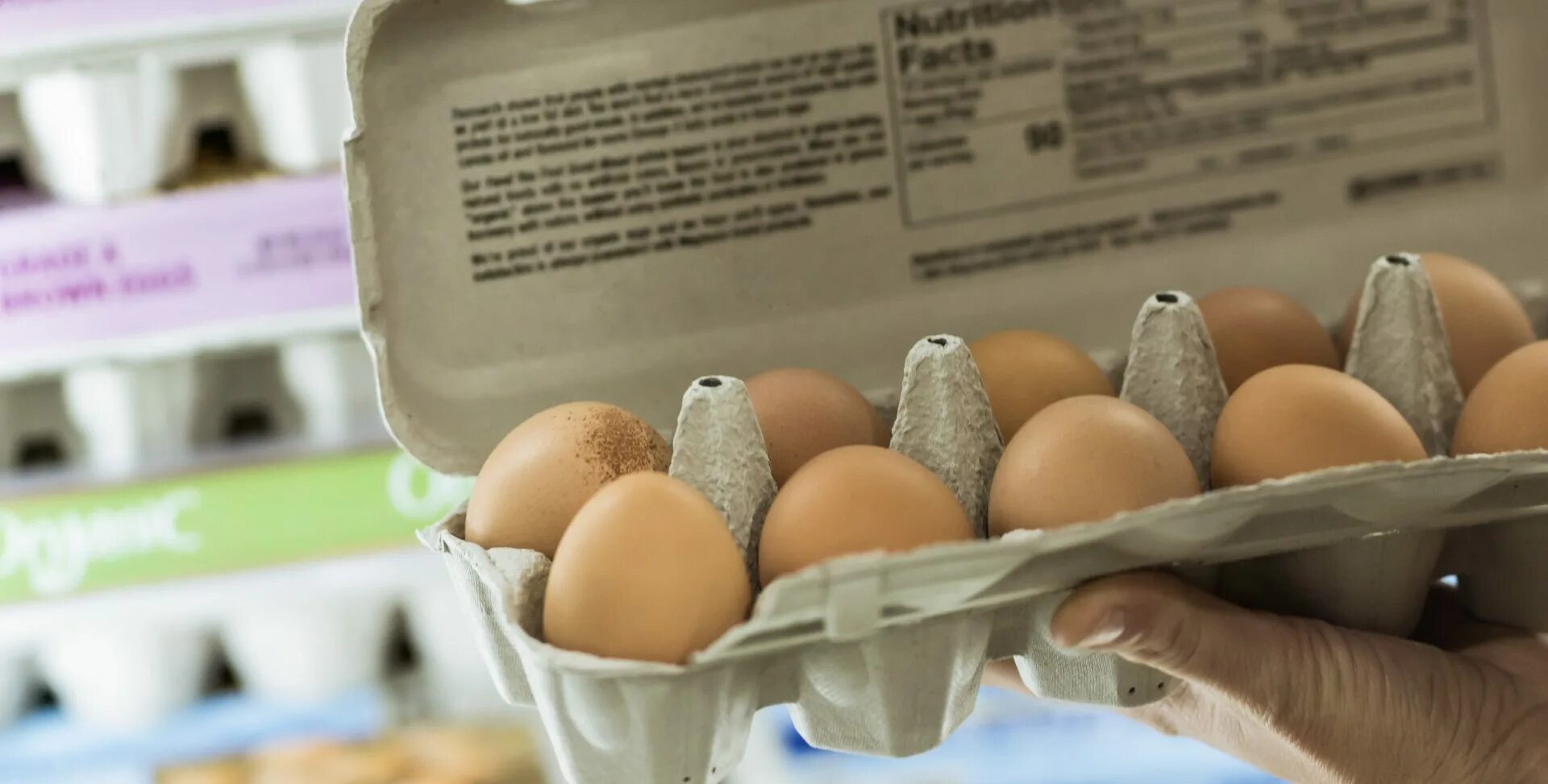 Можно ли сажать яйца. Яйца свободного выгула. Холестерин в яйцах. Выращивание яиц. В Турции выращивают яйца.