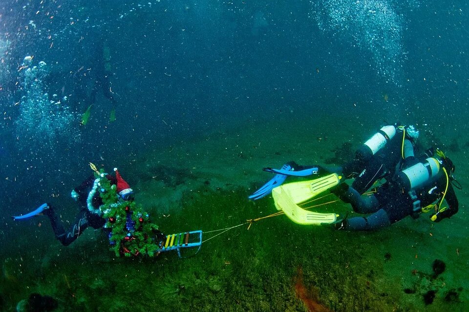 подводный новый год. аквалангист под водой. дайвинг новый год. хоровод вокруг подводной елочки. дайвинг в россии.