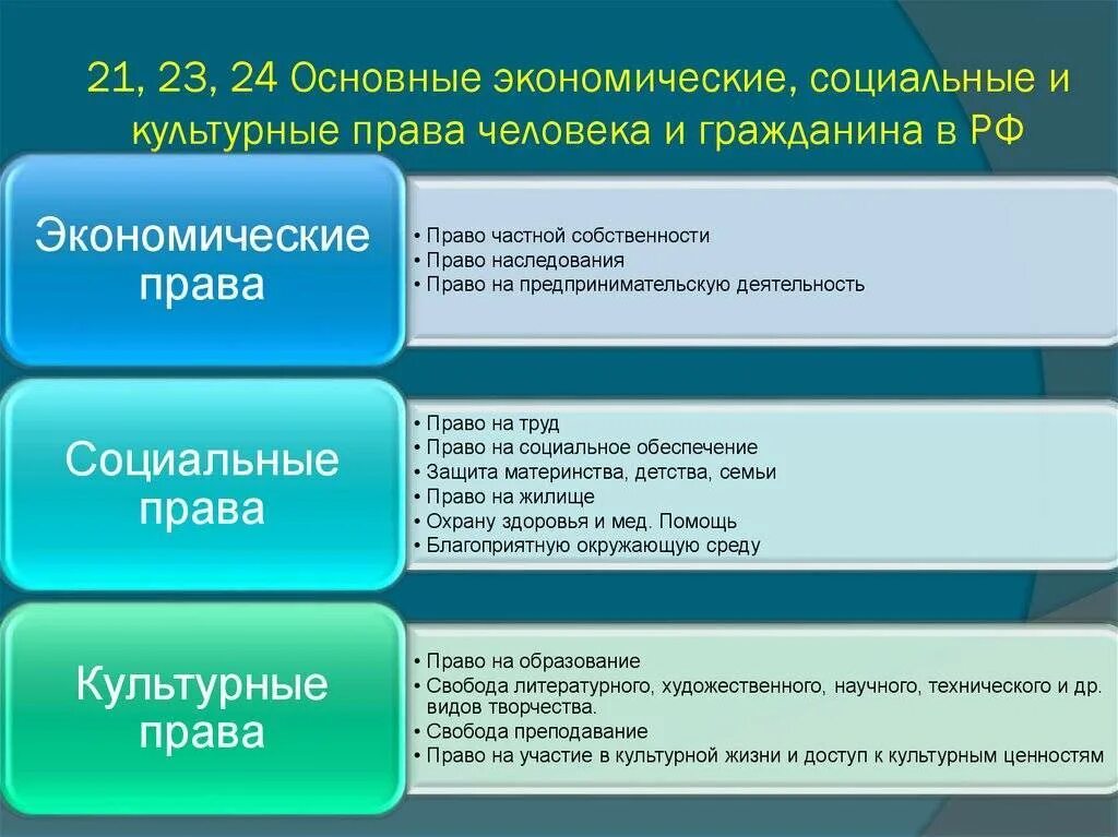 Социально экономические и социально культурные организации