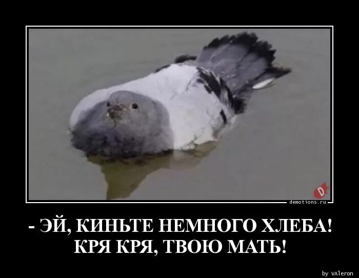 Летящий сапог. Ди каприо мем с деньгами. Кидает зигу. Человек разбрасывает бумаги. Не дошел до цели.