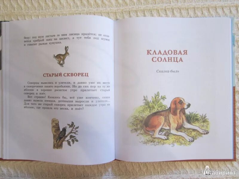 Лисичкин хлеб распечатать текст полностью. Пришвин лисичкин хлеб. пришвин лисичкин хлеб книга.
