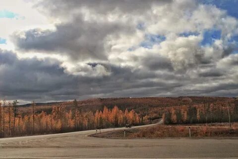 Пос курган