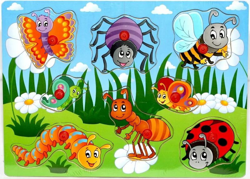 Тема насекомые в доу. Насекомые для дошкольников. Плакат насекомые для детского сада. Насекомые для ДОУ. Насекомые в ДОУ для младших дошкольников.