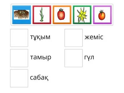 Юлияның жүк көлігінен түскен порнографиялық суреттері