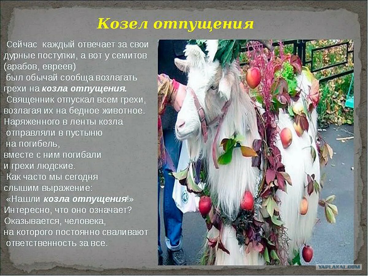 Козел отпущения значение фразеологизма. Козел отпущения. йом кипур козел отпущения. козел отпущения фото. обряд отпущения грехов у евреев.