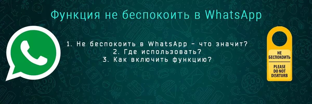 Как отключить не беспокоить в ватсап. Не беспокоить в ватсапе. не беспокоить статус в ватсапе. функция не беспокоить в ватсапе. статус не беспокоить меня.