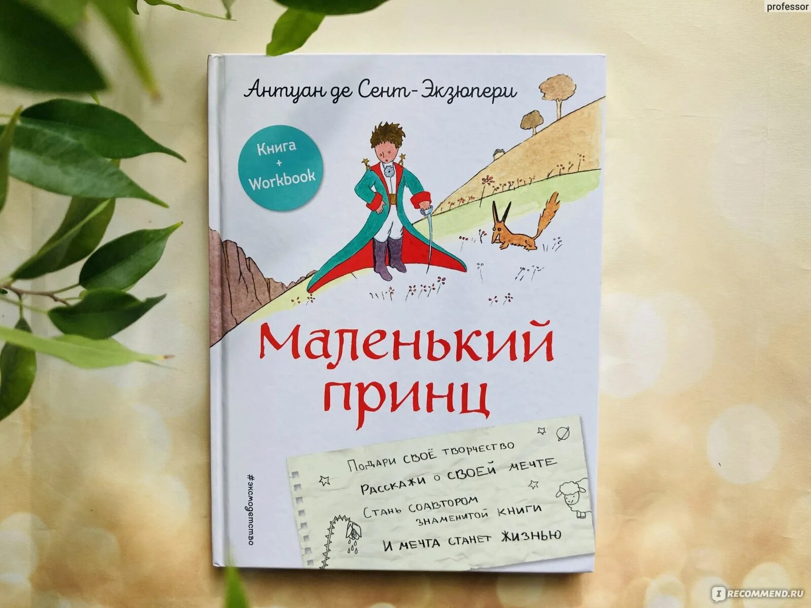 Маленький принц антуан де. Что понял маленький принц во время путешествия. Что понял маленький принц во время путешествия. Что понял маленький принц во время путешествия. Что понял маленький принц во время путешествия.