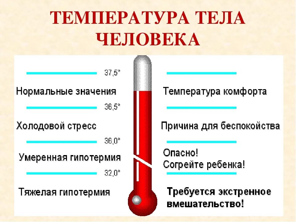 Не страдает температура. Температура тела. Какая температура повышенная. Нормальная температура тела. Апониженая температур.