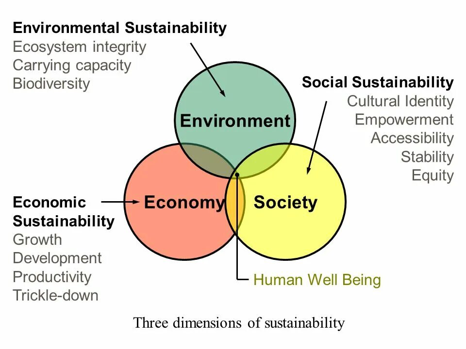Accessible environment. Sustainability environment. ecosystems sustainability. sustainable development ecosystems.