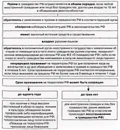 Схема гражданства. Схема гражданства