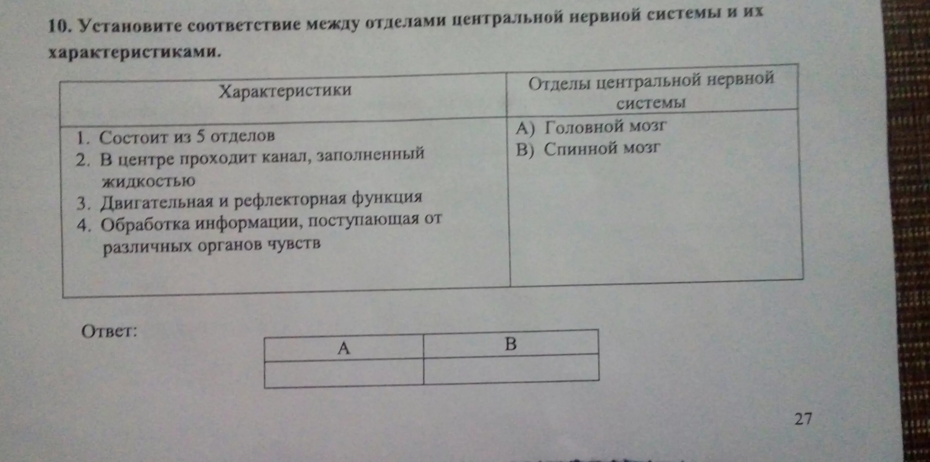 Установите соответствие между изображением инструмента. Соответствие между отделами центральной нервной системы. Установите соответствие между отделами. Соответствие между функцией и отделом нервной системы. Соответствие между отделами нервной системы и их функциями.