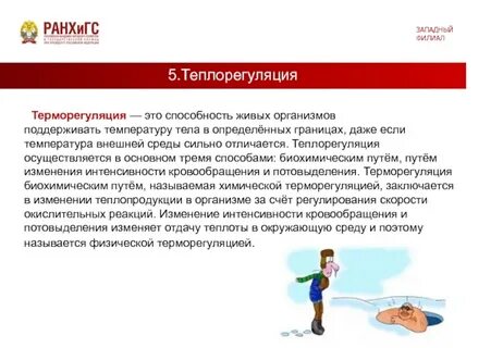 Теплорегуляция