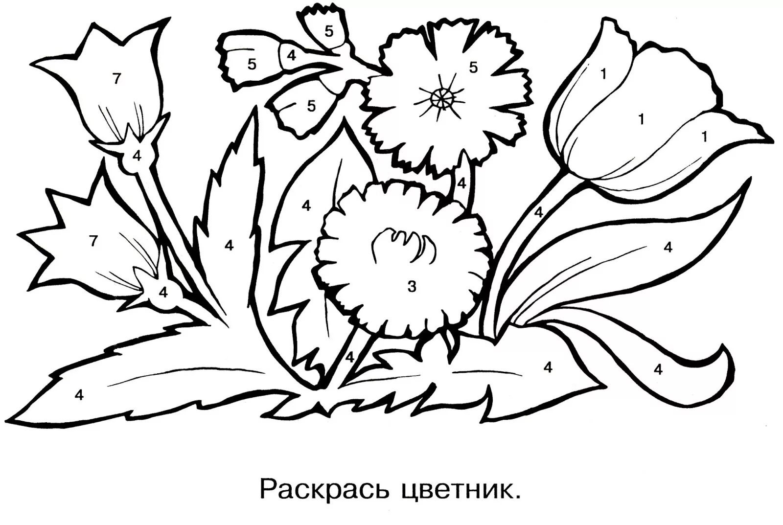 Цвета раскраска для детей. Раскраски цветы с клумбы малышам. Растения клумбы раскраска для детей. Первоцветы задания для детей. Первоцветы раскраска.