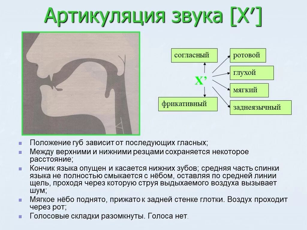 Артикуляция произношения звука и. Артикуляция звука й. Артикуляционный профиль звука х. Профиль артикуляции звука й. Профиль звука г.