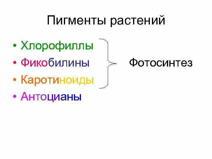 Клеточный пигмент листа. Хлорофилл каротиноиды и фикобилины. Пигменты фотосинтеза хлорофилл каротиноиды. Растительные пигменты таблица. Пигменты это в биологии.