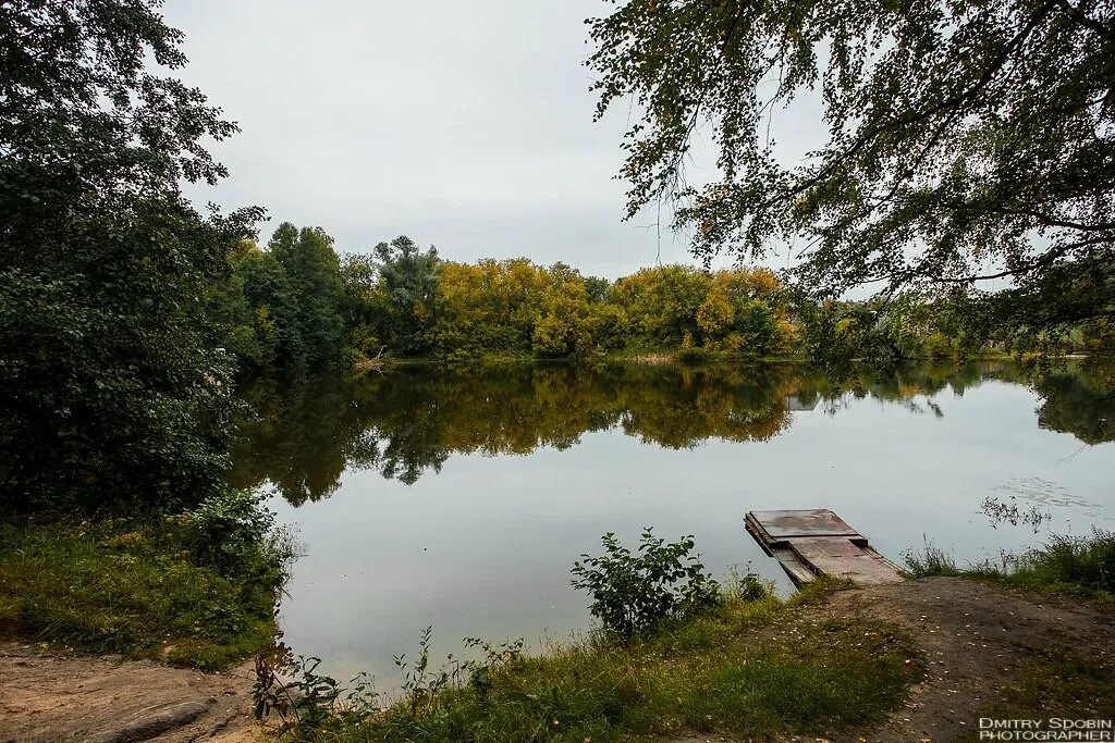 бассейн энергия муром. поселок вербовский муром. фок ивангород. бассейн вербовский муром. бассейн вербовский муром.