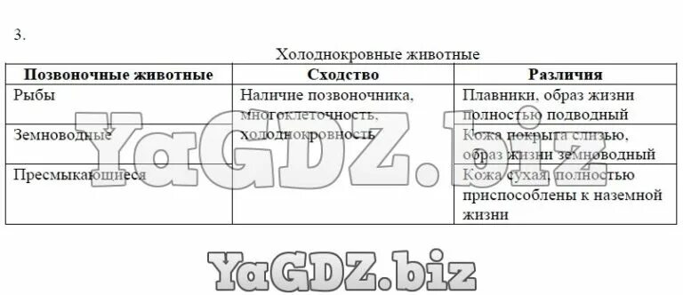 Клевер кролик волк черты сходства и различия. Заполните таблицу холоднокровные животные. Холоднокровных животных таблица. Позвоночные животные таблица. Холоднокровные животные таблица.