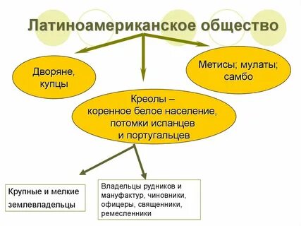 Общество с латинского