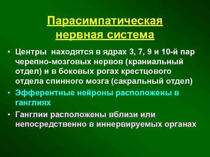 Парасимпатический отдел усиливает. Парасимпатическая нервная система. Центры парасимпатической нервной системы. Парасимпатическая система. Нервы парасимпатической нервной системы.