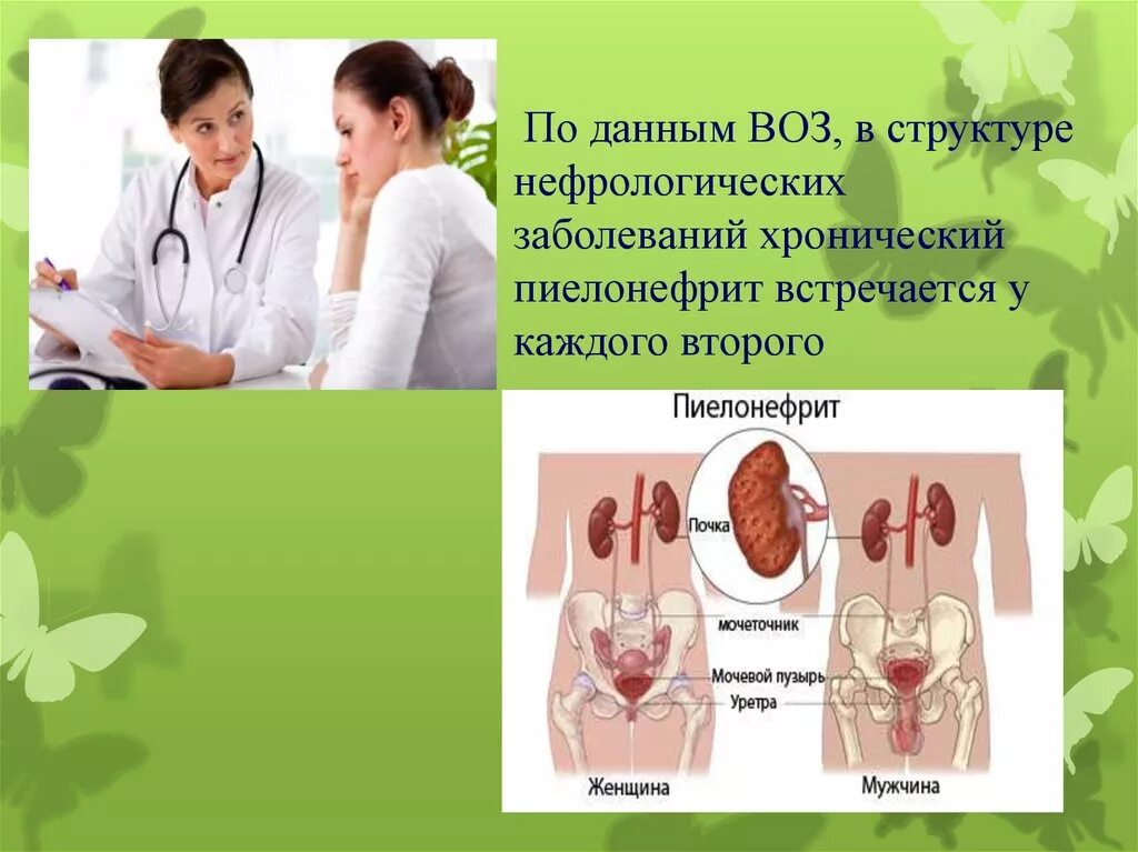 Хронический пиелонефрит уход. Хронический пиелонефрит. Острый и хронический пиелонефрит презентация. Острый пиелонефрит презентация.