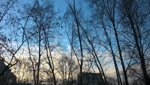 Весеннее небо утром