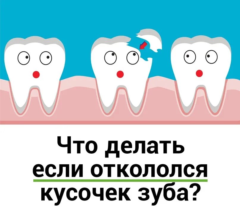Выбирай либо делаем зубы либо летим. Выбирай либо делаем зубы либо летим