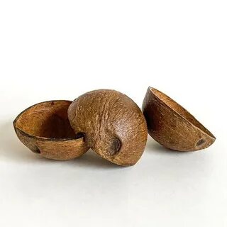 Скорлупа кокоса