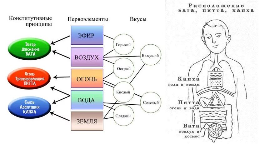 Питта вата Капха 3 стихий огонь воздух вода. Три Доши в аюрведе. Аюрведа вата Питта Капха. Аюрведа схема.