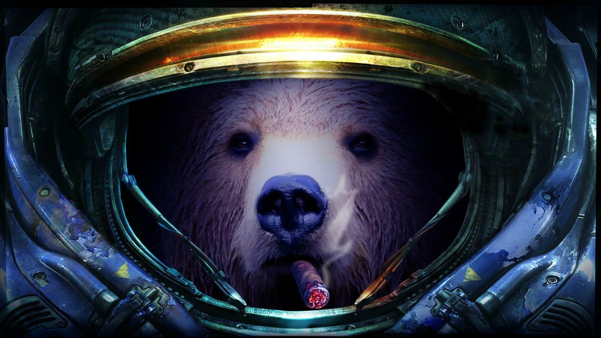 Медведь космонавт. Медведь в космосе. Мишка в космосе. Медведь в скафандре.