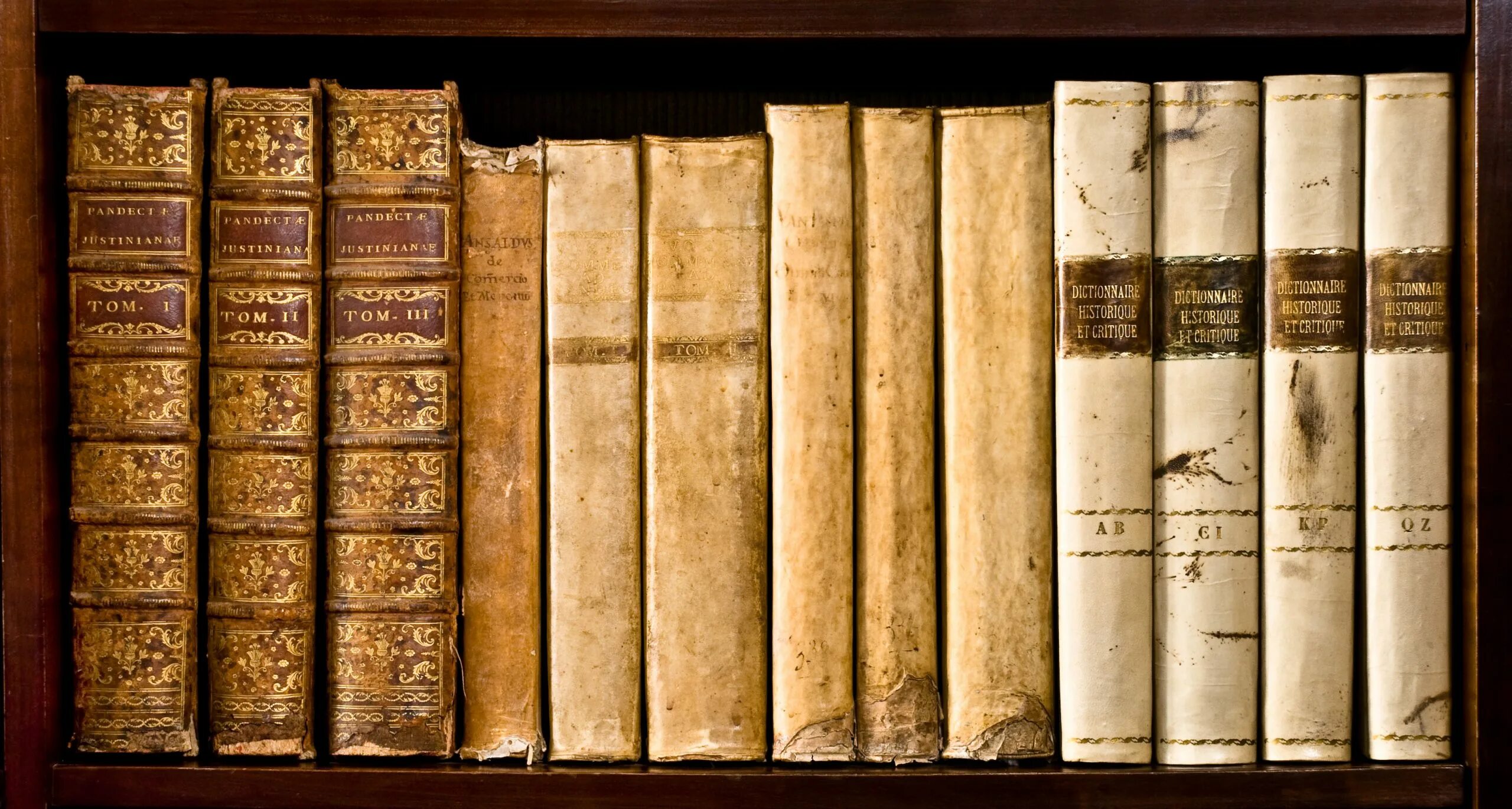 Корешки старинных книг. Корешки старинных книг. Корешки старинных книг. Красивые корешки книг. Бутафорские корешки книг.