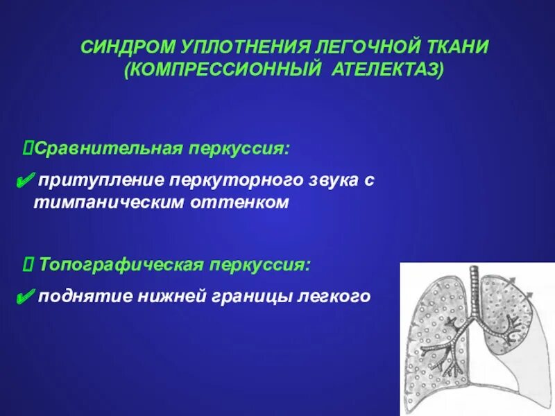 Уплотнение легочной ткани. Синдром уплотнения легочной ткани. Компрессионный ателектаз. Синдром обтурационного ателектаза. Компрессионный ателектаз легкого