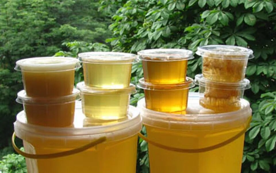 Мёд подсолнечный разнотравие. Мед в пластиковых банках. Контейнер для меда. Контейнеры для меда пластиковые. Цветочный мед купить