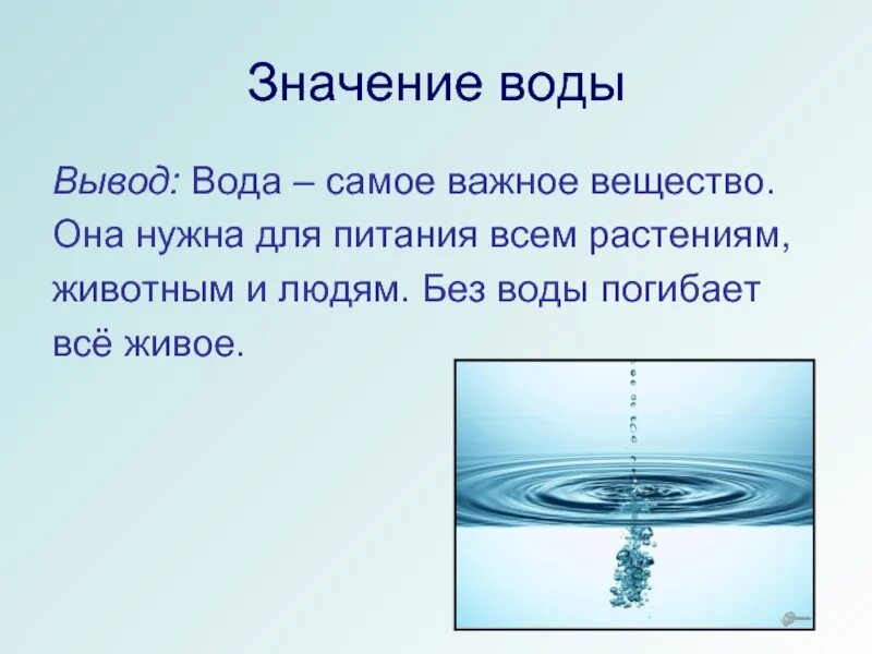 Значение воды. Значение воды для обитателей нашей планеты. Какое значение имеет вода для обитателей нашей планеты. Какре значение имеет аода для обитателей планеты. Какую роль играет вода в жизни человека