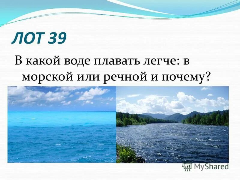 В какой воде легче плавать в морской или речной почему. В мертвом море нельзя утонуть. Почему железный гвоздь тонет, а корабль плавает?. Задачи про воду. В какой воде легче плавать в морской или речной почему.