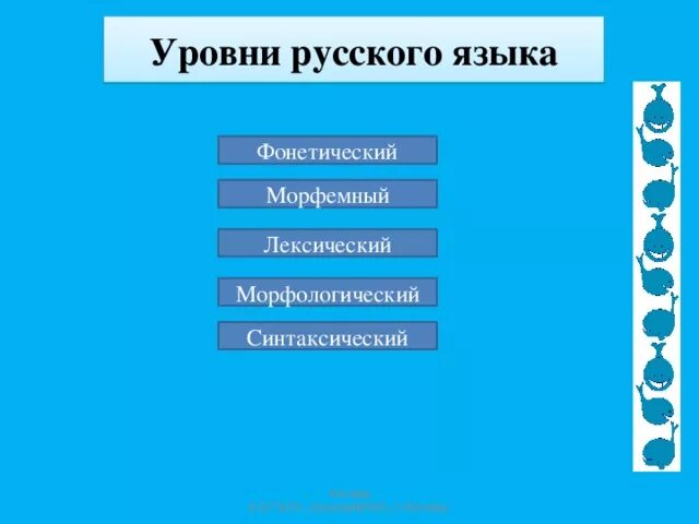 Высший уровень русского языка