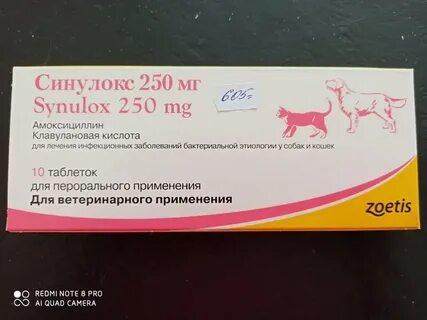 Синулокс 250 мг для собак
