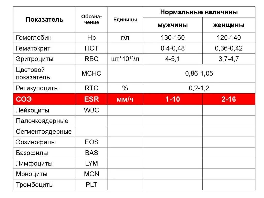 Ретикулоциты в анализе