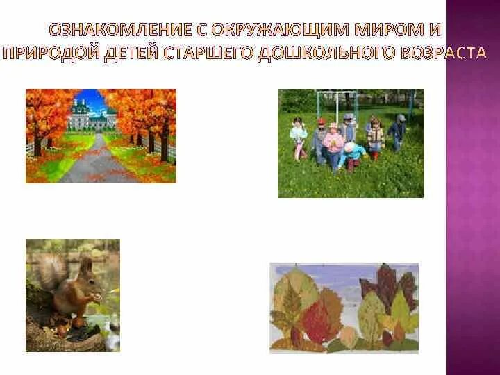 «осень в парке». Ознакомление с окружающим миром осень старшая группа. Ознакомление с окружающим миром в старшей группе от рождения до школы. Занятие в младшей группе осень. Мнемотаблицы деревья для дошкольников.