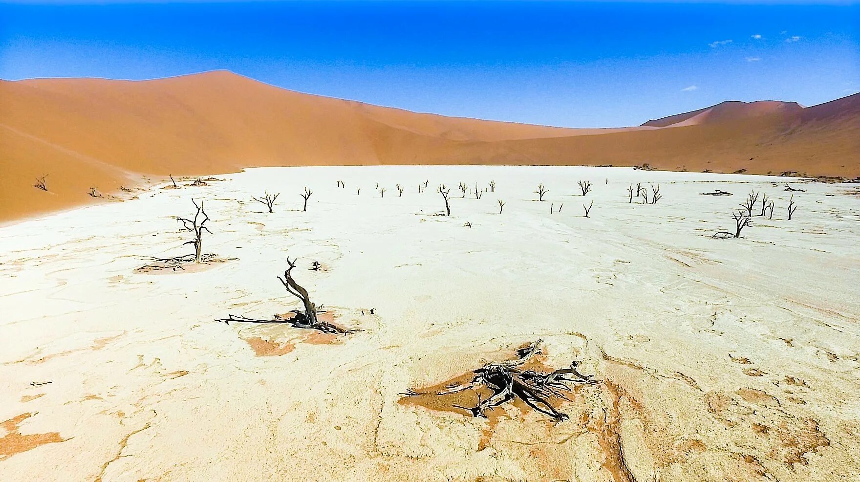 соссусфлей мертвая долина. пустыня намиб климат. соссусфлей мертвая долина. соссусфлей мертвая долина. какие пустыни мертвые.