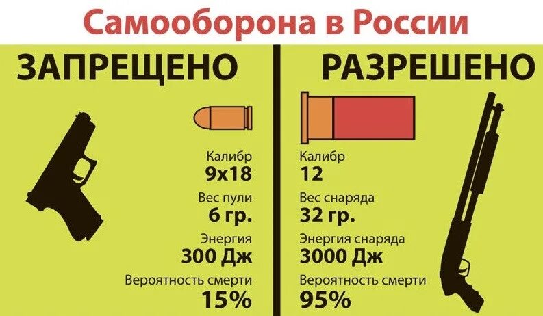 Самооборона в россии