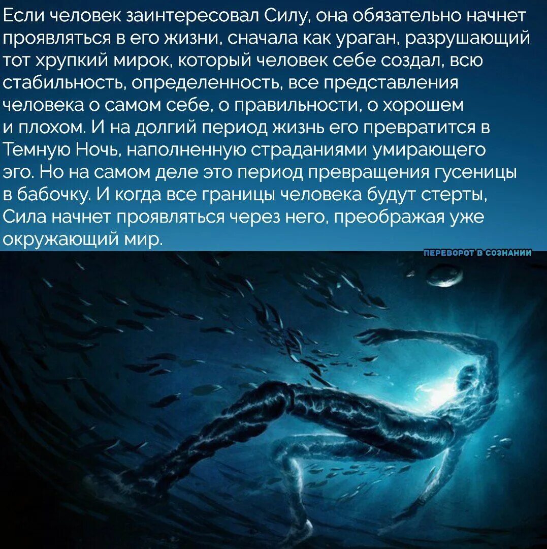 Сида. Если ты заинтересовал силу она обязательно начнет. Как заинтересовать силу. Как заинтересовать силу. Как заинтересовать силу.