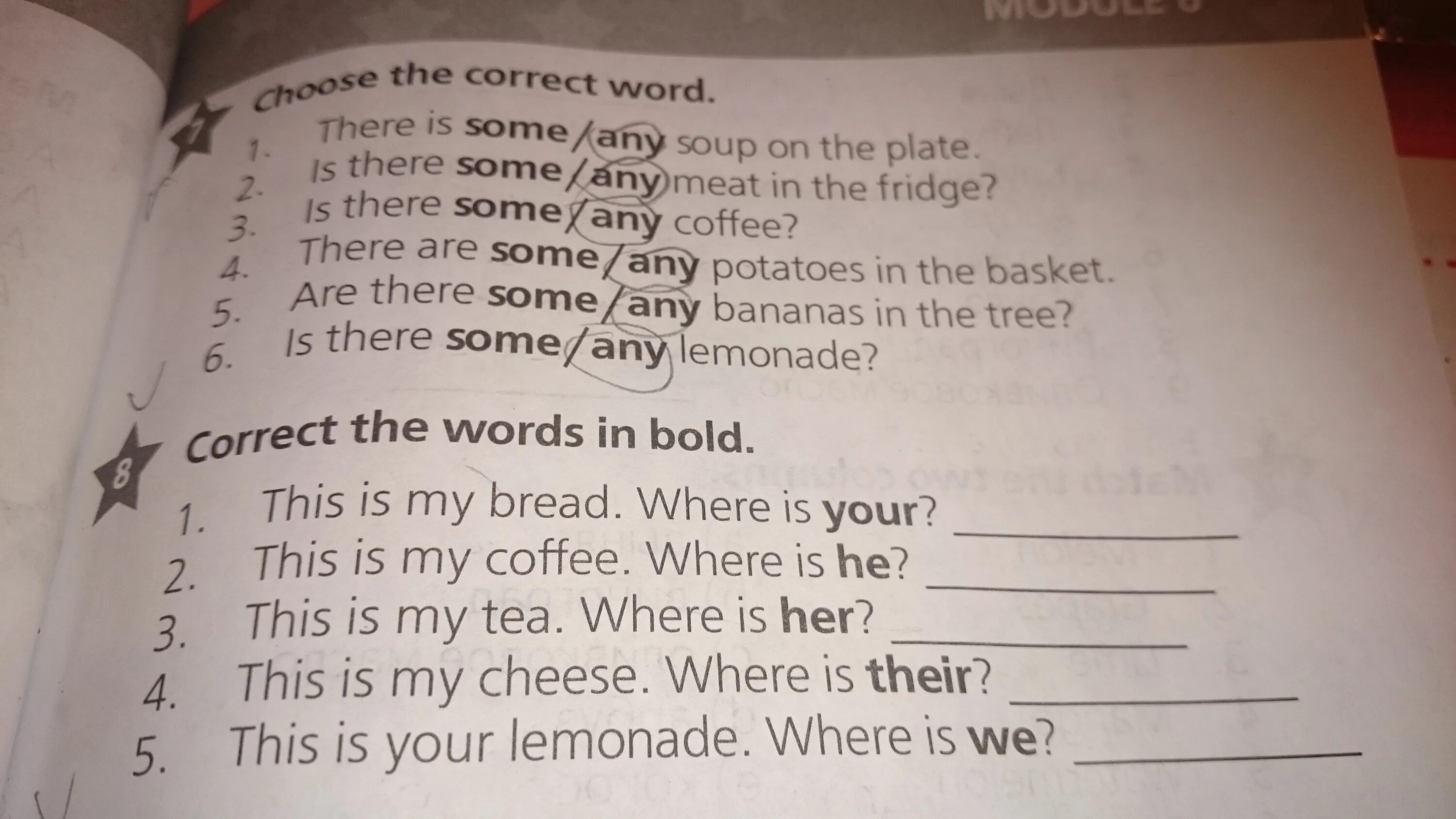 Выбери правильное слово there is are. There is some/any Soup on the Plate. Is there some/any Coffee. Some any Fridge. Read and correct the Word in Bold.