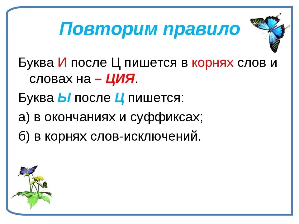 Корневые буквы. Правописание и ы после ц правило. Буква и после ц пишется в корнях слов и в словах на ция. И пишется в словах на ция буква. Слова с буквами и после ц в корнях.