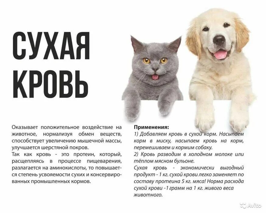 Применение животных. Сухая кровь для животных. сухая кровь для собак. положительное влияние корма для собак. сухая кровь для кормления собак.