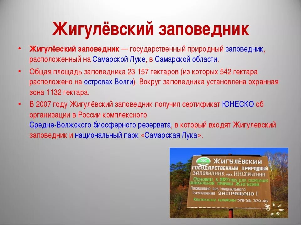 Заповедник 2 класс окружающий мир кратко. Заповедники Самарской области. Доклад о заповеднике. Заповедник в Самаре. Заповедники презентация.