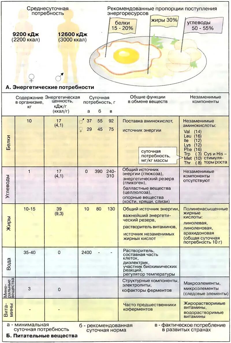 энергетических минеральных веществ. энергетических минеральных веществ. минеральные вещества необходимы для. минеральные вещества ве. энергетических минеральных веществ.