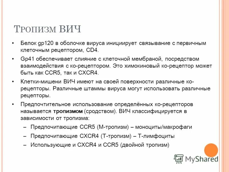 Вич белок