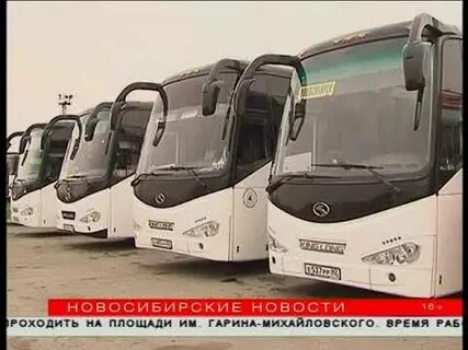 Новосибирск ташкент автобус